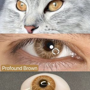 Coloured Contact Lenses