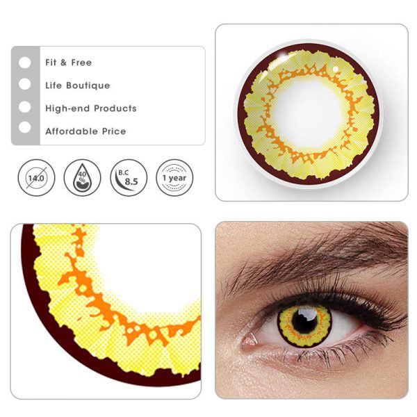 Sunflower-Yellow-Brown-3